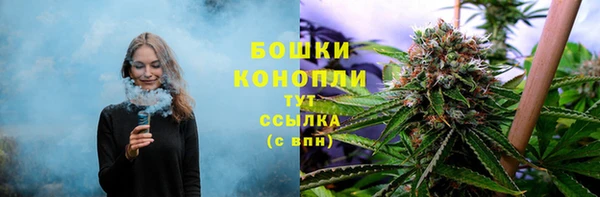 крисы Нязепетровск