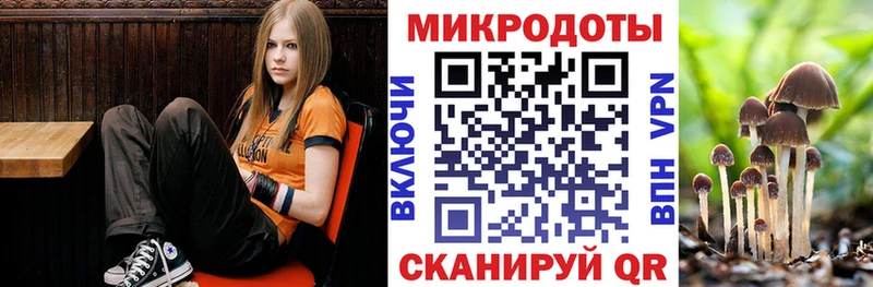 Галлюциногенные грибы Cubensis  Купить  Славск 